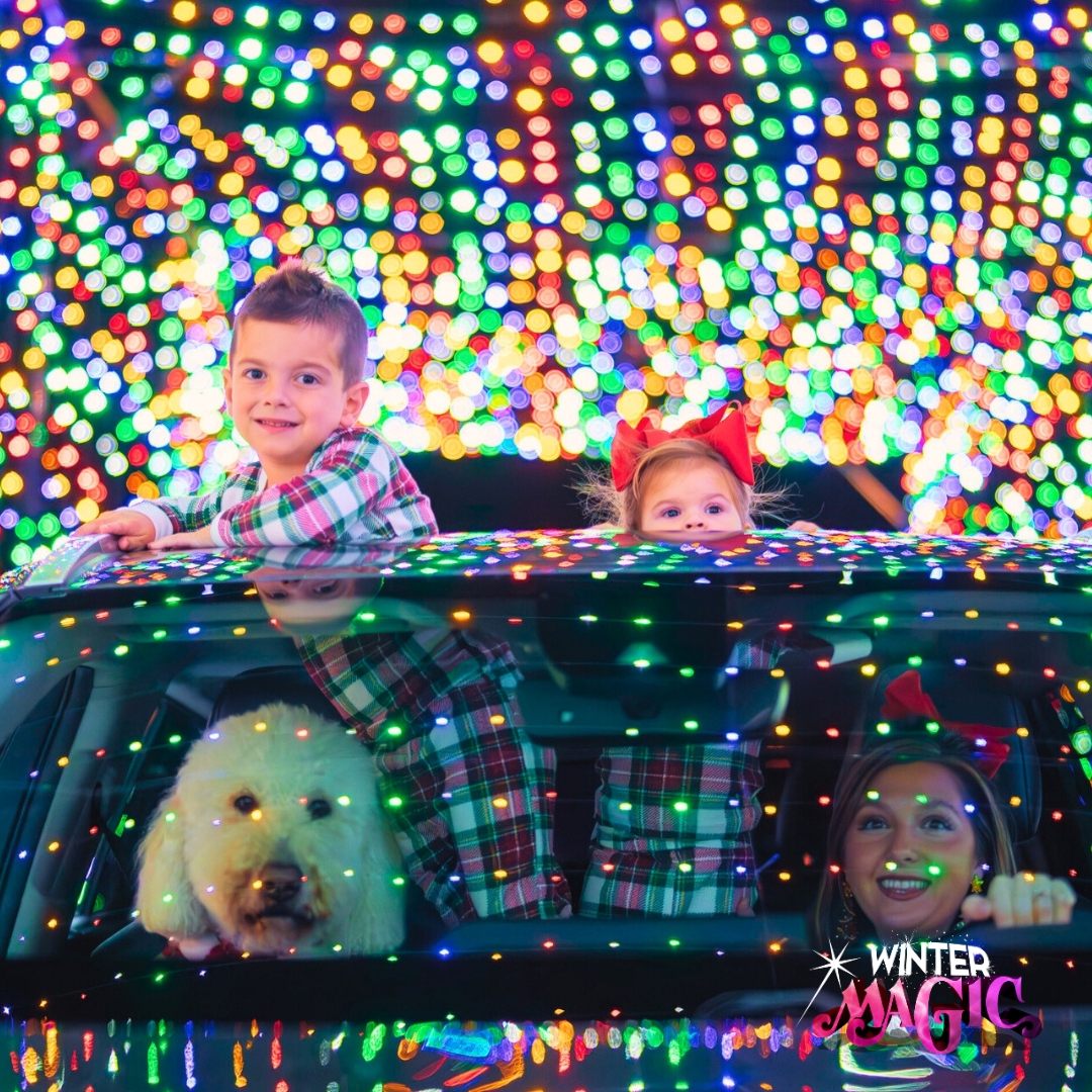 The Winter Magic ☁️ Winter Magic